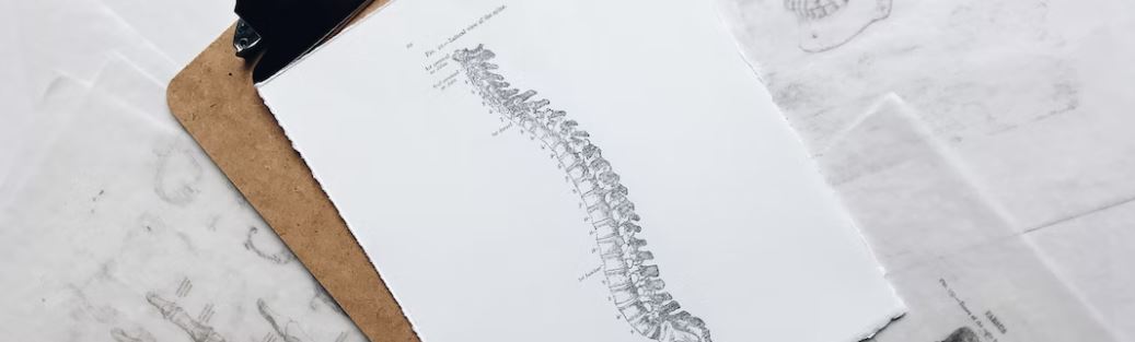 osteoporose broos wordende botten